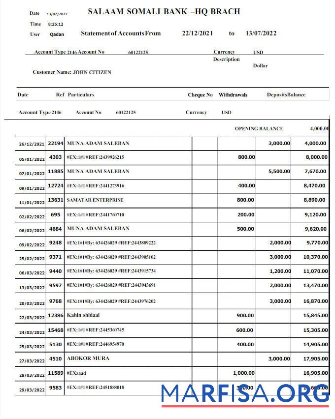 Blank SOMALI SALAAM SOMALI bank statement Word and PDF template